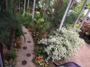 Casuarina